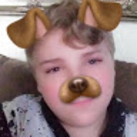 Meet your Posher, Braxton - Picture 1 of 1